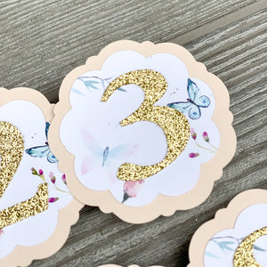 Butterfly First Birthday Photo Clips, Butterfly Milestone Picture Banner, Butterfly 1st Birthday Party Decor, Butterfly Monthly Pic Display