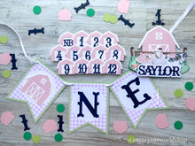 Load image into Gallery viewer, Barnyard First Birthday Photo Clips, Barn Milestone Picture Banner, Farm 1st Birthday Party Decor, Barnyard Monthly Pic Display