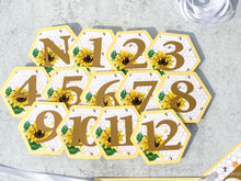 Load image into Gallery viewer, Sunflower Bee First Year Photo Clips, Bee Theme 1st Birthday Picture Banner, Honeycomb &amp; Sunflower Monthly Milestone Pic Display