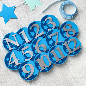 Twinkle Twinkle Little Star First Year Picture Clips, Star Monthly 1st Year Photo Banner, Little Star First Birthday Party Decorations