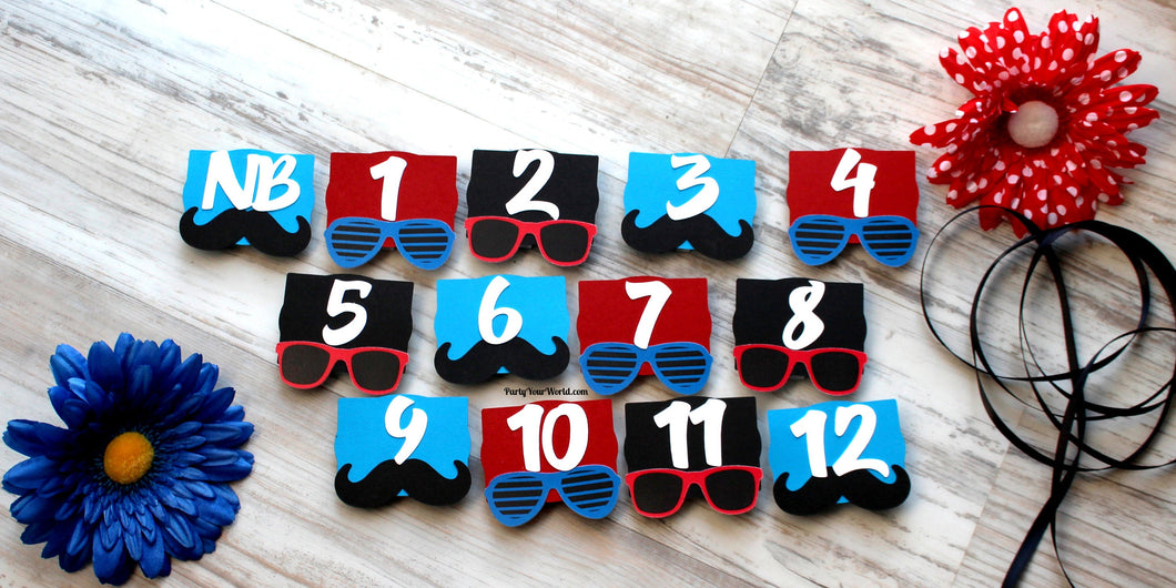 One Cool Dude First Year Photo Clips, Cool Dude 1st Birthday Picture Banner, Shades & Sunglasses Monthly Milestone Pic Display