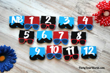 Load image into Gallery viewer, One Cool Dude First Birthday Photo Clips, 12 Month Picture Banner