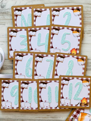 S'mores First Birthday Photo Clips, Kawaii S'mores Milestone Picture Banner, S'mores 1st Birthday Party Decor