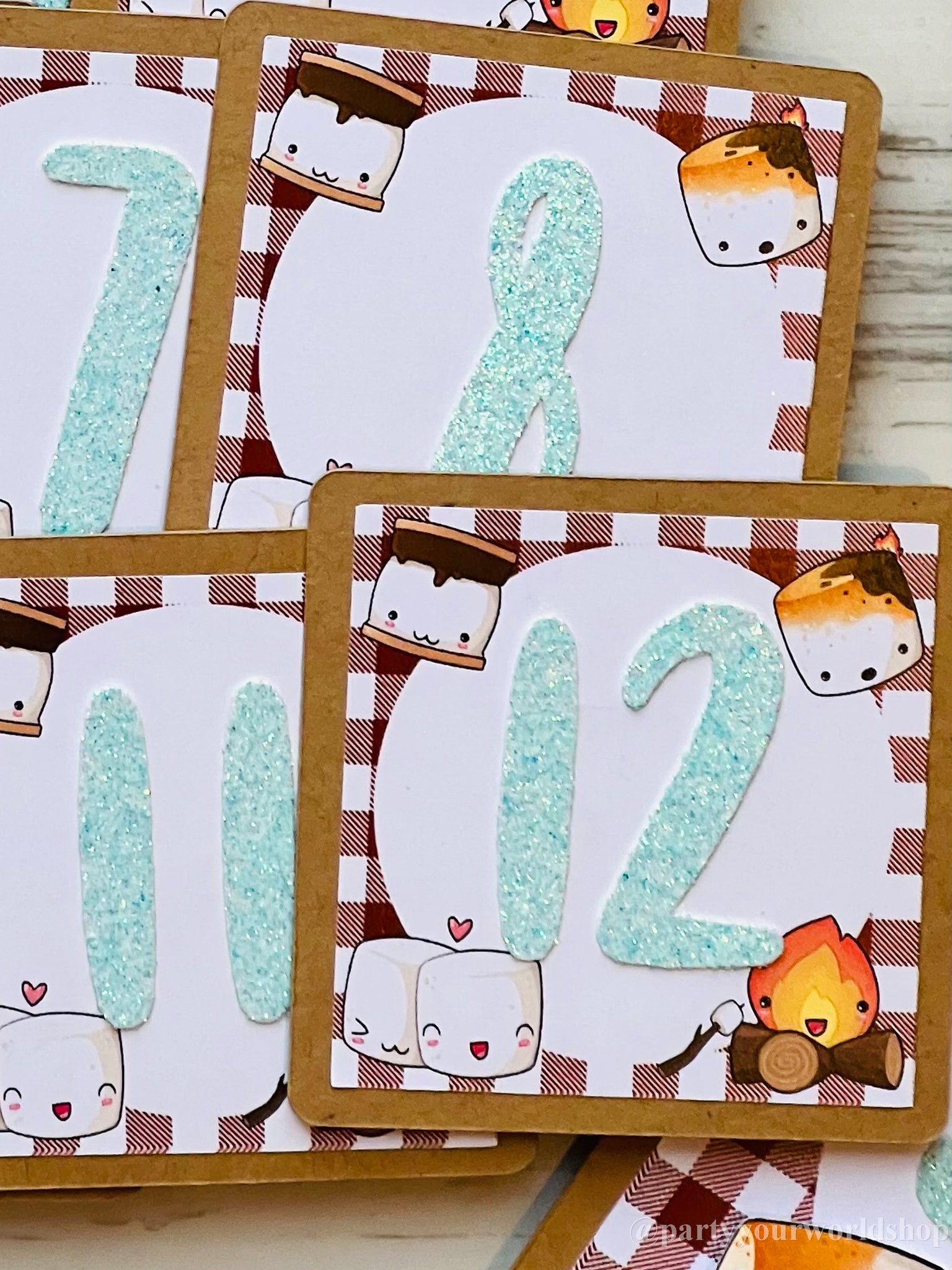 S'mores First Birthday Photo Clips, Kawaii S'mores Milestone Picture B –  Party Your World